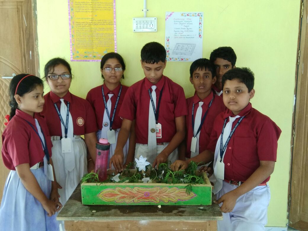 PROJECT ACTIVITY - Anandamarga School Bishalghar